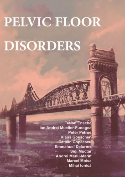 Cover for Enache Traian · Pelvic floor disorders (Paperback Book) (2019)