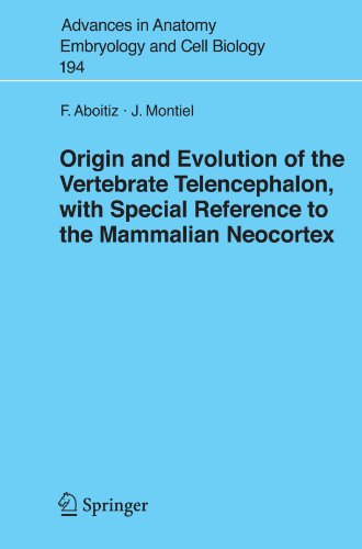 Cover for Francisco Aboitiz · Origin and Evolution of the Vertebrate Telencephalon, with Special Reference to the Mammalian Neocortex - Advances in Anatomy, Embryology and Cell Biology (Paperback Book) [2007 edition] (2007)