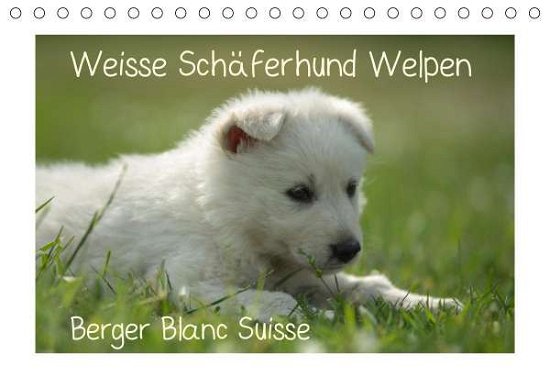 Cover for Riedel · Weisse Schäferhund Welpen - Berg (Bok)