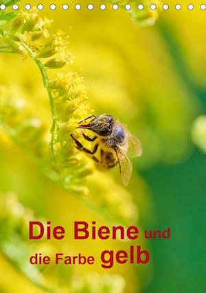 Cover for Bangert · Die Biene und die Farbe gelb (T (Book)