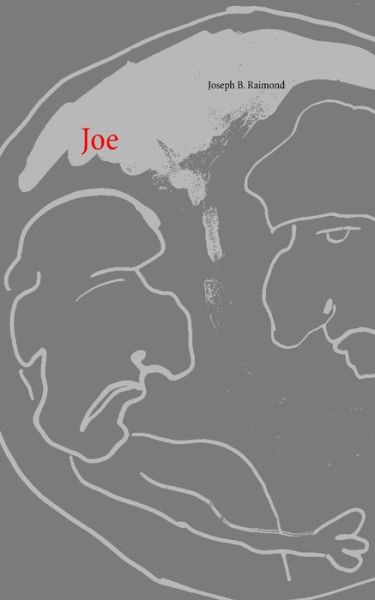 Joe - Joseph B Raimond - Livros - Books on Demand - 9783748158608 - 6 de fevereiro de 2019