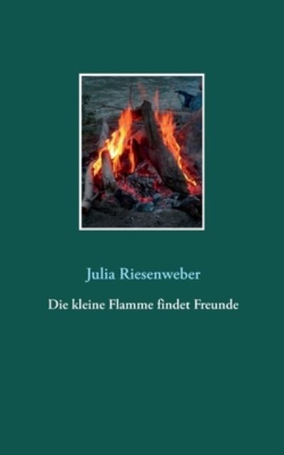 Cover for Julia Riesenweber · Die kleine Flamme findet Freunde (Paperback Book) (2021)