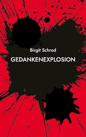 Cover for Birgit Schrod · Gedankenexplosion (Book) (2022)