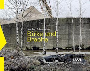 Birke und Brache - Julia Sengenberger - Books - Klartext - 9783837526608 - March 12, 2024