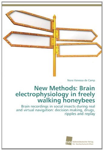 Nora Vanessa De Camp · New Methods: Brain Electrophysiology in Freely Walking Honeybees: Brain Recordings in Social Insects During Real and Virtual Navigation: Decision Making, Drugs, Ripples and Replay (Pocketbok) (2013)