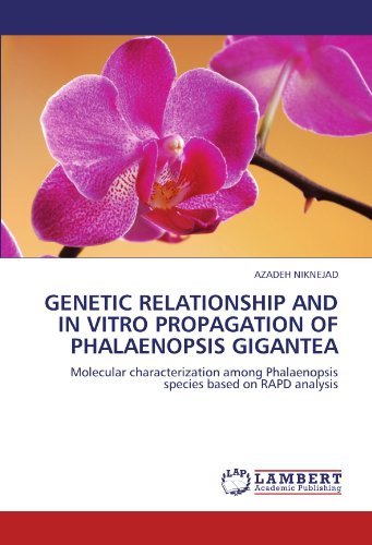 Cover for Azadeh Niknejad · Genetic Relationship and in Vitro Propagation of Phalaenopsis Gigantea: Molecular Characterization Among Phalaenopsis Species Based on Rapd Analysis (Taschenbuch) (2011)