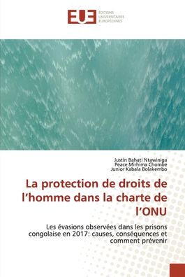 Cover for Justin Bahati Ntawiniga · La protection de droits de l'homme dans la charte de l'ONU (Paperback Book) (2021)