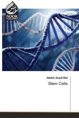 Cover for Atefeh Asadi Rizi · Stem Cells (Paperback Book) (2023)