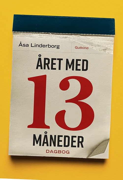 Cover for Åsa Linderborg · Året med 13 måneder (Heftet bok) [1. utgave] (2020)