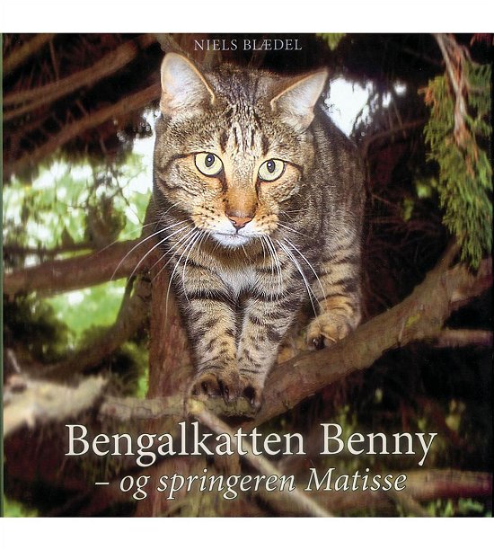 Bengalkatten Benny - og springeren Matisse - Niels Blædel - Böcker - Rhodos - 9788772459608 - 18 november 2005