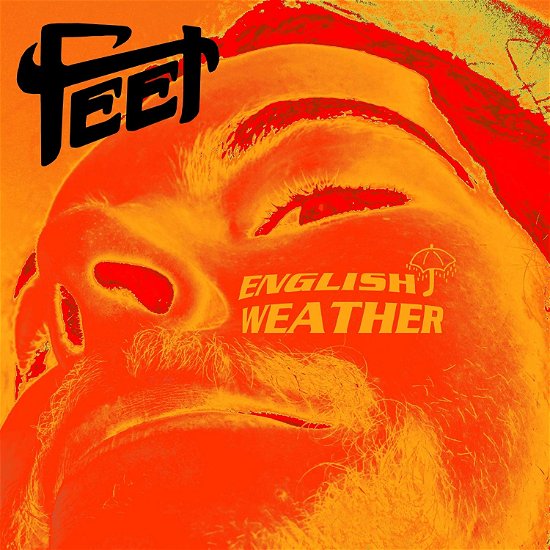 Cover for Feet · English Weather (LP) [Picture Disc edition] (2019)
