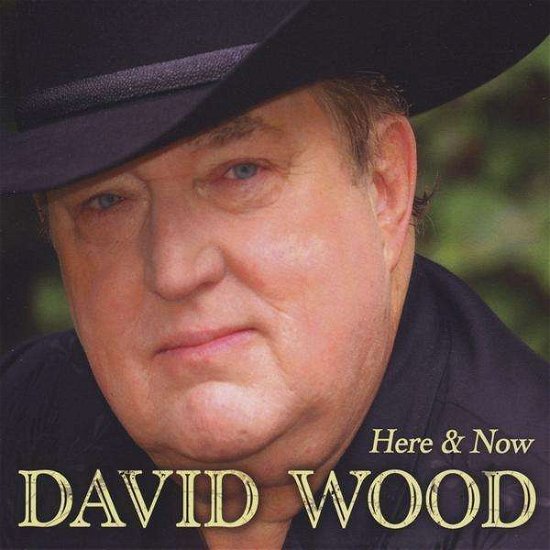 Cover for David Wood · Here &amp; Now (CD) (2009)