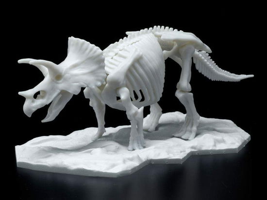 Cover for Figurine · Dinosaur Limex Skeleton Triceratops Mk (MERCH)