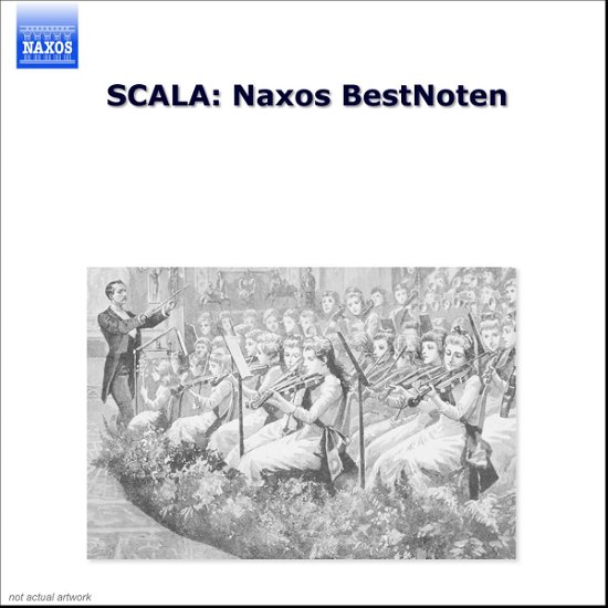 Cover for Classic Various · * Naxos Bestnoten (CD) (2000)