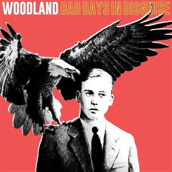 Cover for Woodland · Bad Days In Disguise (LP) (2019)