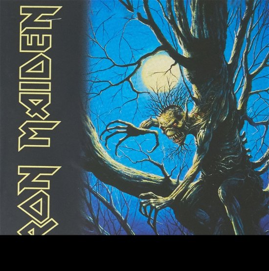 Fear of the Dark - Iron Maiden - Muziek - EMI - 9397601000609 - 16 mei 2014
