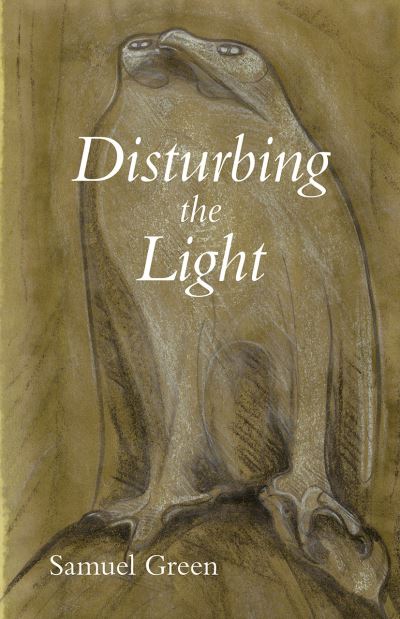 Cover for Samuel Green · Disturbing the Light - Carnegie Mellon University Press Essays (CHICAGO) (Paperback Book) (2020)