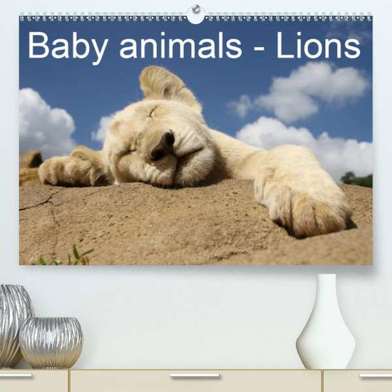 Cover for Sander · Baby animals - Lions (Premium, h (Book)