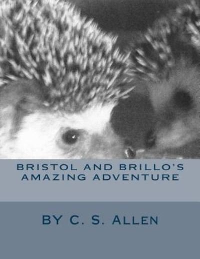 Cover for C S Allen · Bristol and Brillo's Amazing Adventure (Paperback Book) (2015)