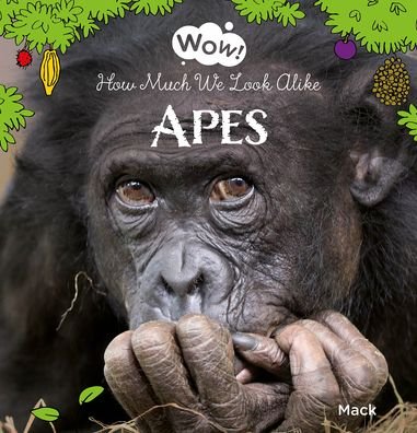 Cover for Mack van Gageldonk · Wow! Apes. How Much We Look Alike - Wow! (Innbunden bok) (2024)