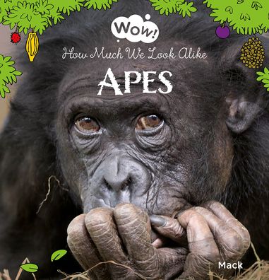 Wow! Apes. How Much We Look Alike - Wow! - Mack van Gageldonk - Books - Clavis Publishing - 9781605379609 - April 11, 2024
