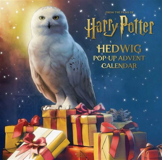 Cover for Matthew Reinhart · Harry Potter: Hedwig Pop-Up Advent Calendar - Reinhart Pop-Up Studio (Hardcover bog) (2022)