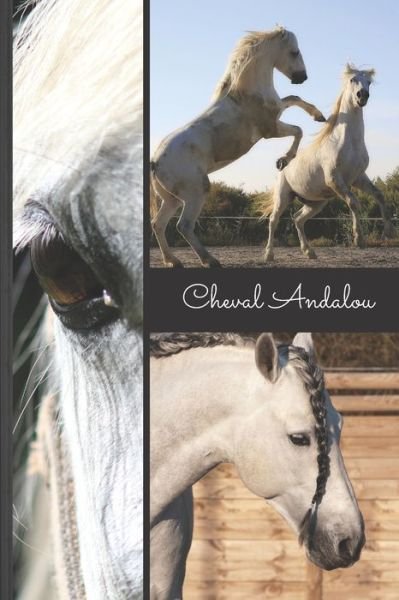 Cover for Mon Cheval Et Moi Editions · Cheval Andalou (Paperback Book) (2019)