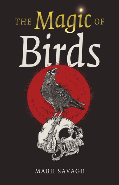 Cover for Mabh Savage · The Magic of Birds (Paperback Bog) (2025)