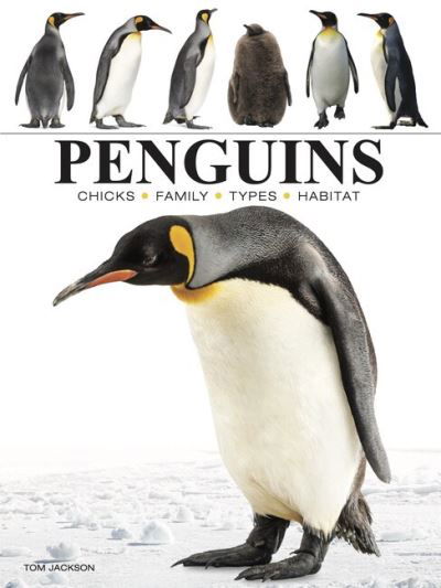 Penguins - Mini Animals - Tom Jackson - Bøger - Amber Books Ltd - 9781838863609 - 14. april 2024