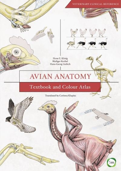 Cover for Horst Erich Konig · Avian Anatomy 2nd Edition: Textbook and Colour Atlas - Veterinary Atlases (Hardcover Book) [2 Revised edition] (2016)