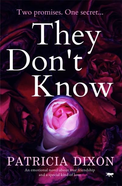 Cover for Patricia Dixon · They Don't Know (Taschenbuch) (2018)