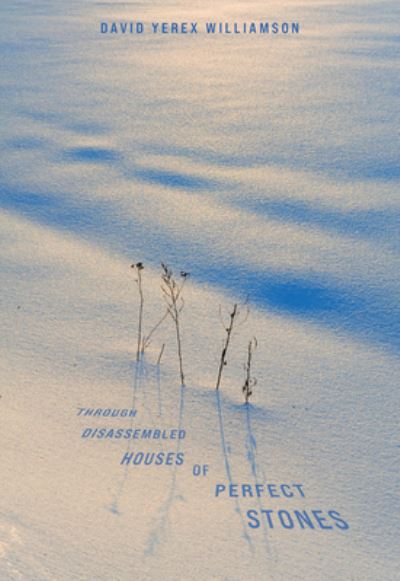 Cover for David Williamson · Through Disassembled Houses of Perfect Stones (Pocketbok) (2022)