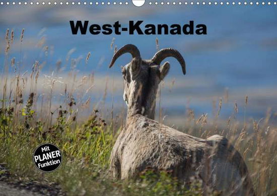 Cover for Bort · West-Kanada (Wandkalender 2021 DIN (Book)