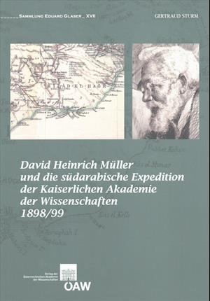 Cover for Sturm · David Heinrich Müller und die süd (Buch) (2015)