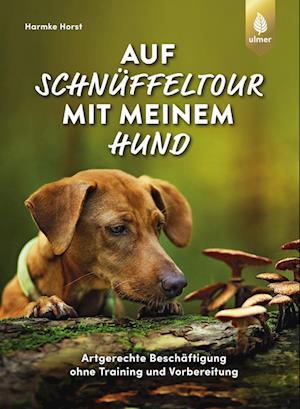 Cover for Harmke Horst · Auf Schnüffeltour mit meinem Hund (Book) (2024)