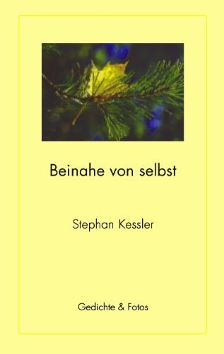 Cover for Stephan Kessler · Beinahe Von Selbst (Taschenbuch) [German edition] (2005)