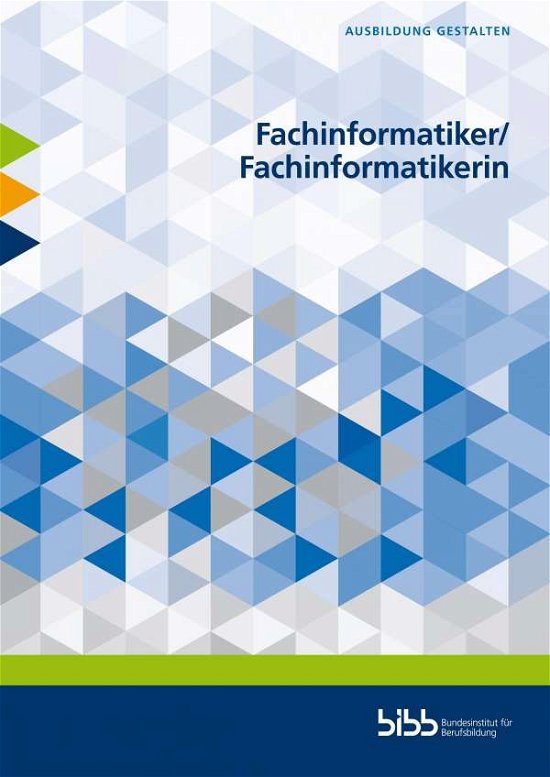Cover for Blachnik · Fachinformatiker / Fachinformati (Buch)