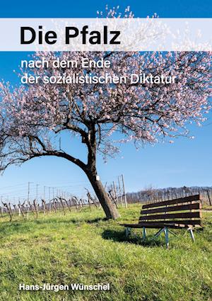 Cover for Hans-Jürgen Wünschel · Die Pfalz nach dem Ende der sozialistischen Diktatur (Paperback Book) (2020)