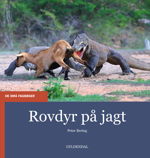 Cover for Peter Bering · De små fagbøger: Rovdyr på jagt (Sewn Spine Book) [1e uitgave] (2020)