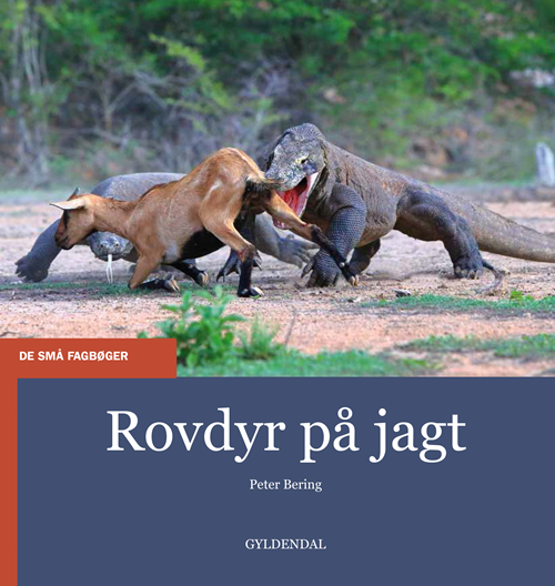 Cover for Peter Bering · De små fagbøger: Rovdyr på jagt (Hæftet bog) [1. udgave] (2020)