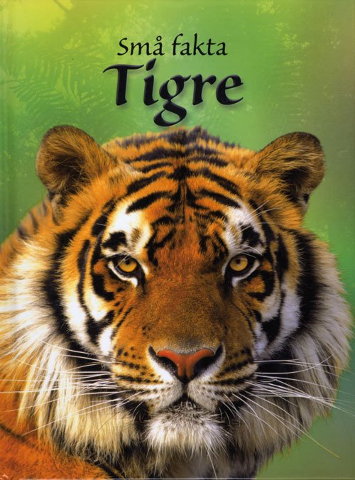 Cover for James Maclaine · Små fakta: Små fakta: Tigre (Indbundet Bog) [1. udgave] [Indbundet] (2012)