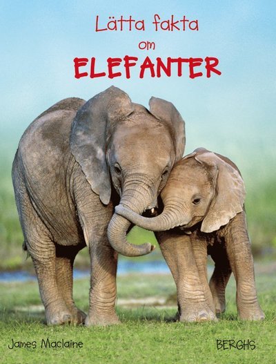 Cover for James Maclaine · Lätta fakta: Lätta fakta om elefanter (Inbunden Bok) (2013)