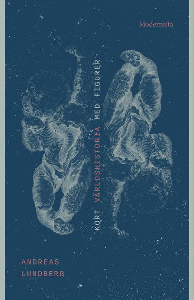 Cover for Andreas Lundberg · Kort världshistoria med figurer (Book) (2023)