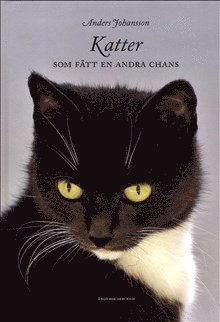 Katter som fått en andra chans - Anders Johansson - Books - Solvändan Förlag - 9789198066609 - October 25, 2013