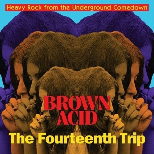 Cover for Brown Acid: The 14th Trip (LP) (2022)