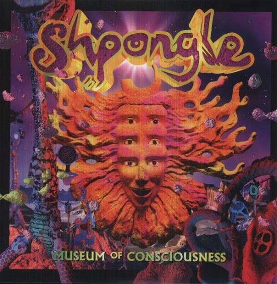 Cover for Shpongle · Museums of Consciousness (LP) [Limited, High quality edition] (2013)