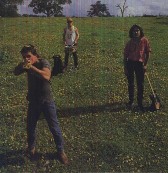 Cover for Cosmic Psychos · Down On The Farm (LP) [Reissue edition] (2021)