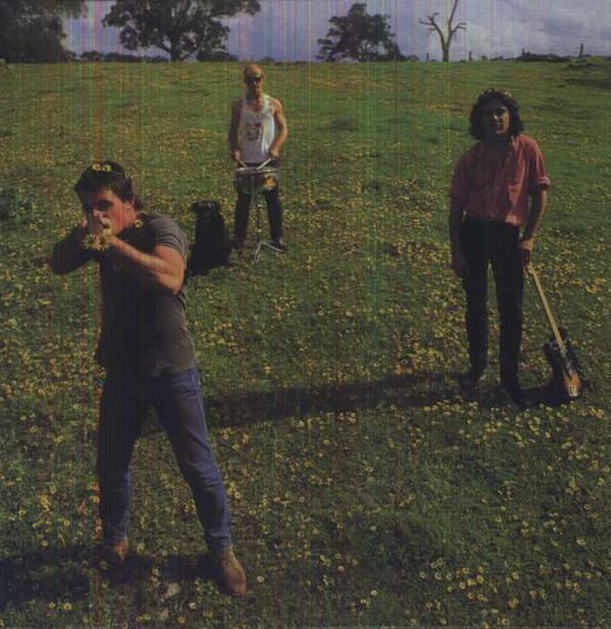 Cosmic Psychos · Down On The Farm (LP) [Reissue edition] (2021)