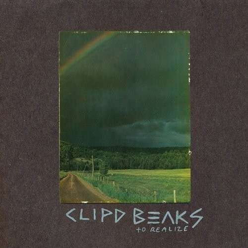 Clipd Beaks · To Realize (LP) (2010)