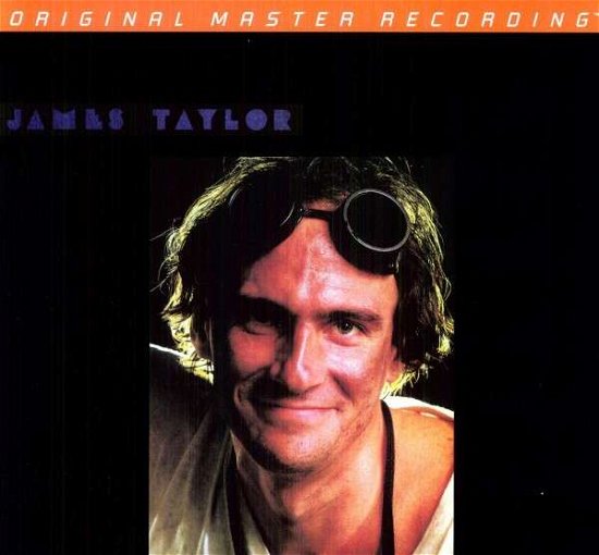 Cover for James Taylor · Dad Loves His Work (LP) (1990)